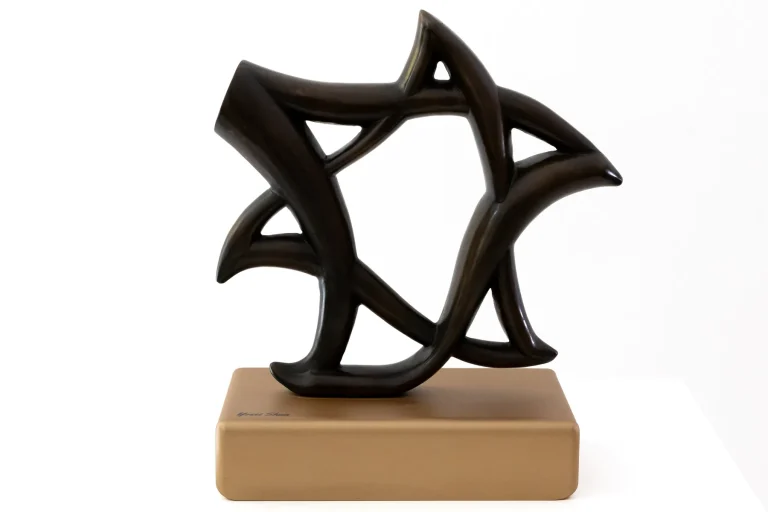 Star of David · Medium Bronze by Yossi Shua