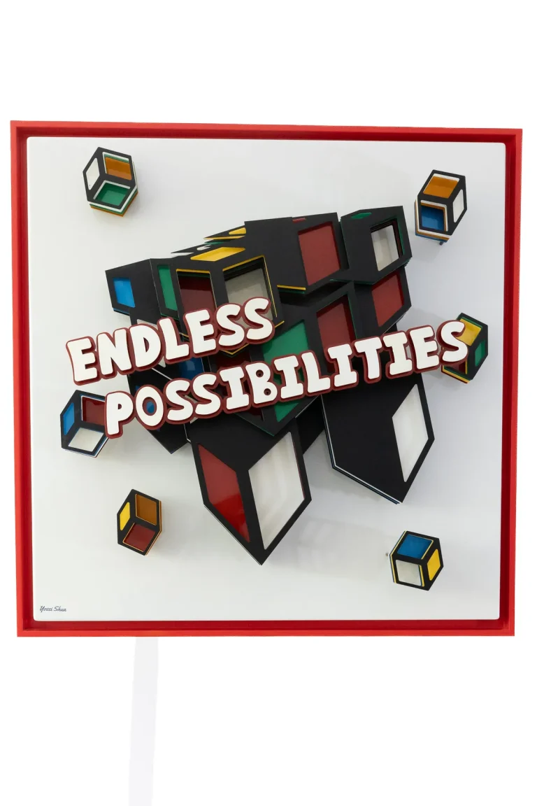 The Rubik's Cube by Yossi Shua